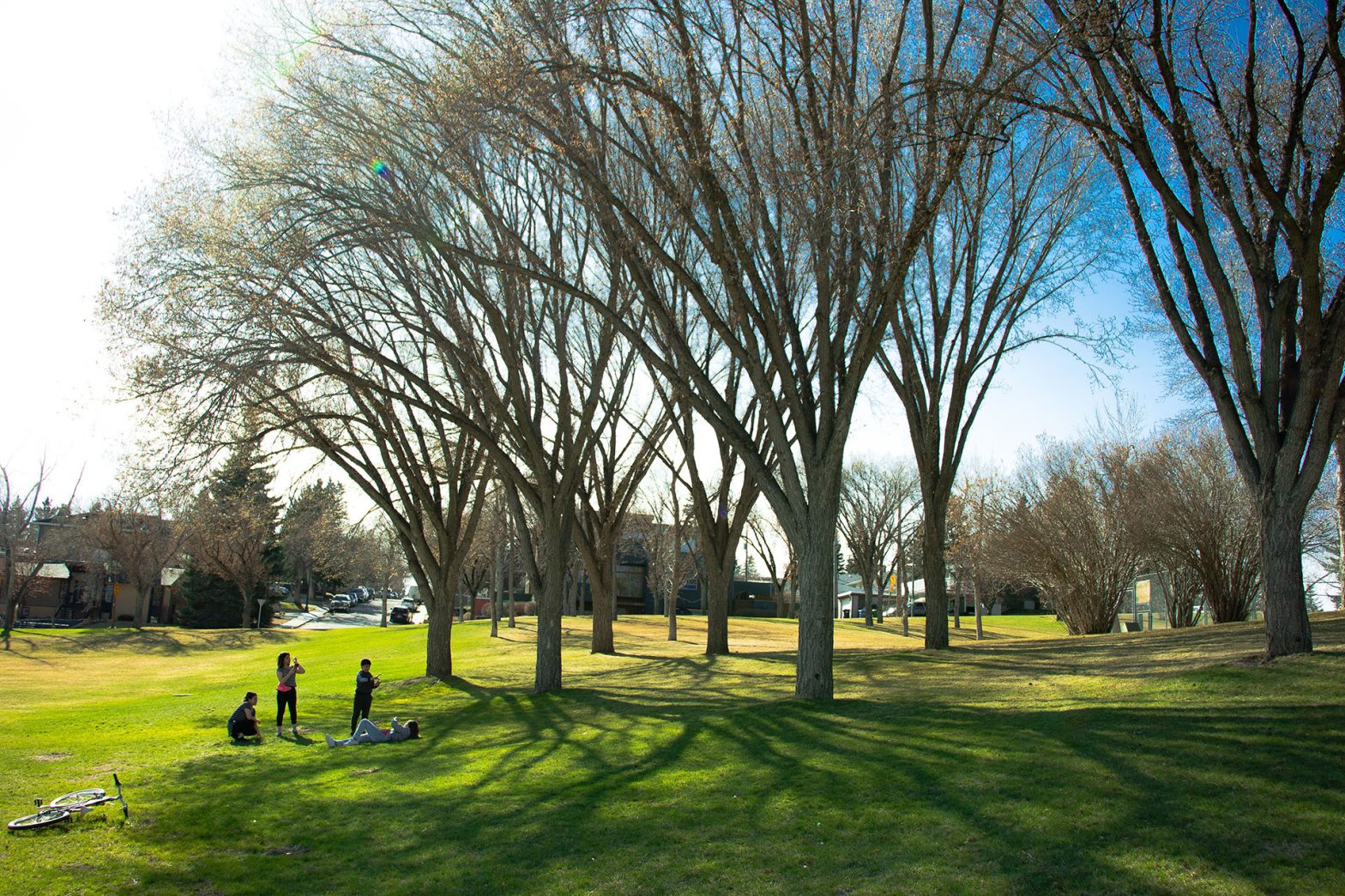 Reclaiming ‘Common Sense’ for a Livable Future
