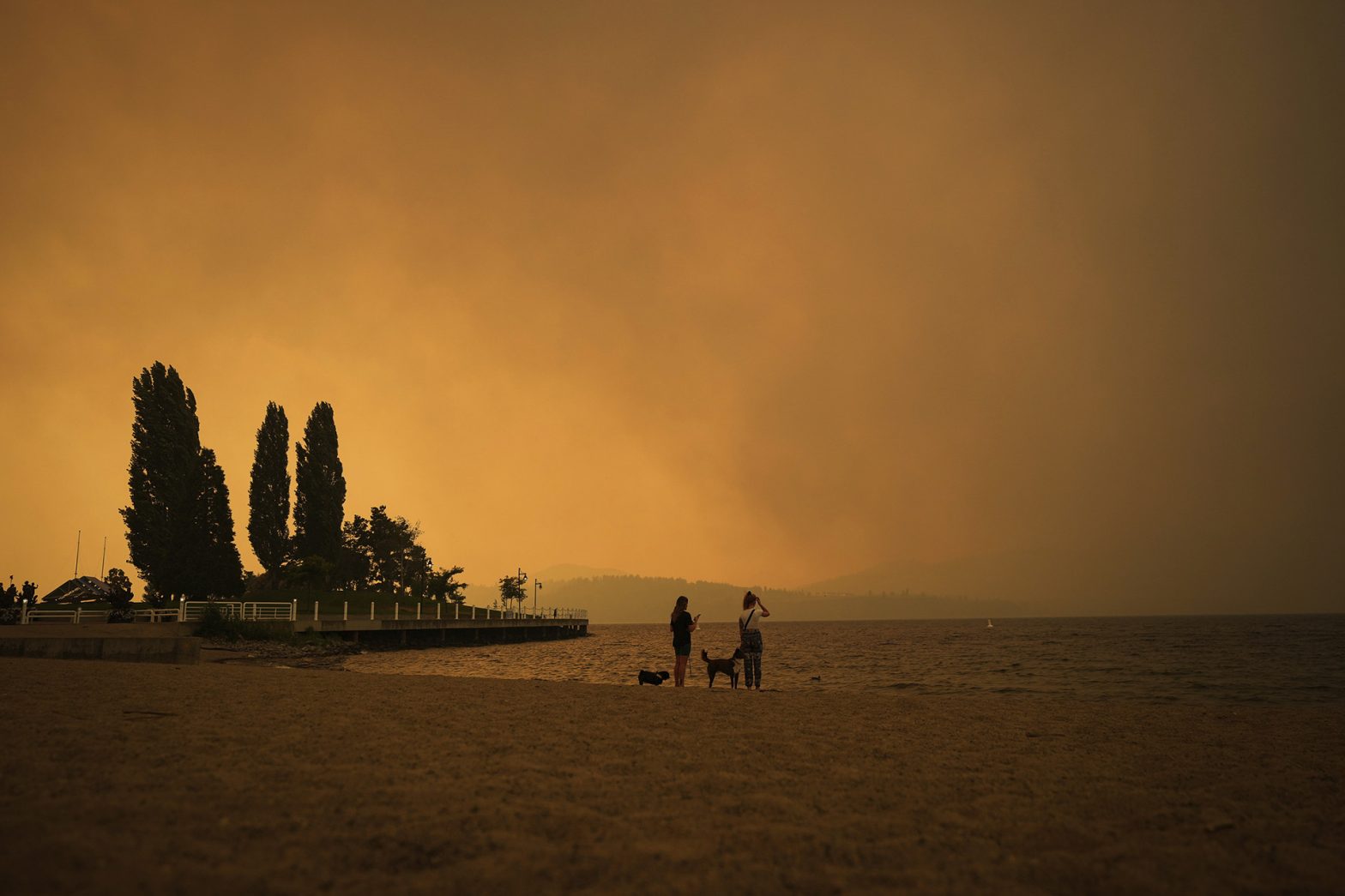 What Do Canadians Really Think About Climate Change in 2024?